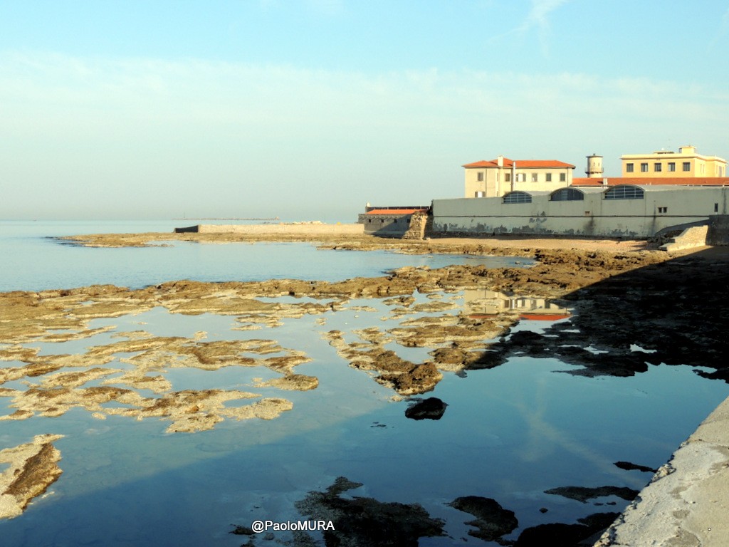 Aria Di Primavera E A Livorno Parte La Pulizia Delle
