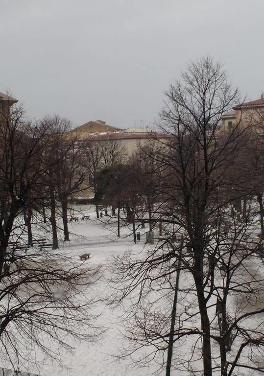 Neve in piazza piazza Magenta 