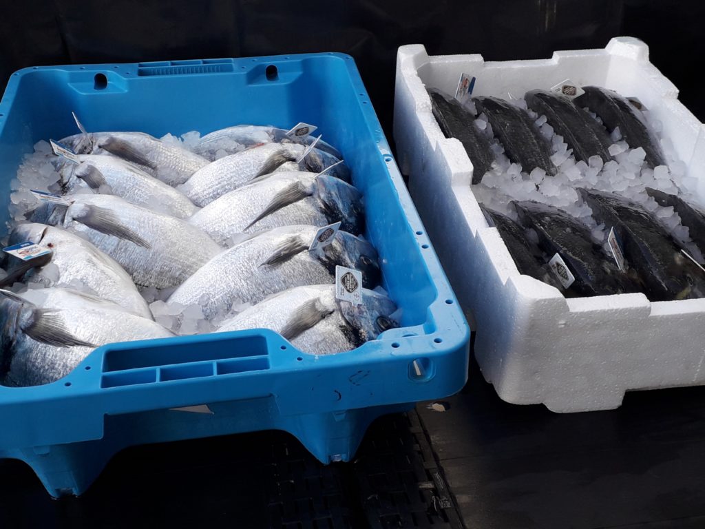 Barchetta Polistirolo Per Pesce | 310x530x75 Mm | Portata 7 Kg | Con Base Per Ghiaccio | Alimentare - Foto 5