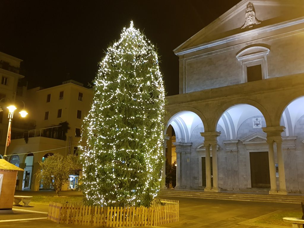 Albero Di Natale Grande.Si Accende L Albero In Piazza Grande Quilivorno It