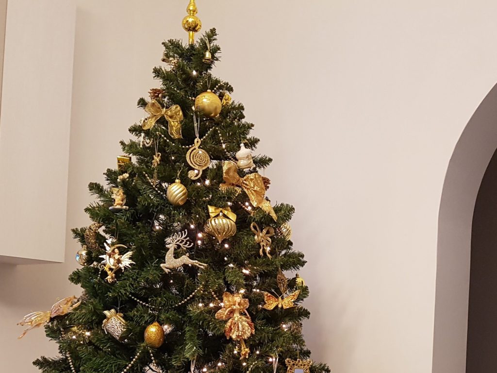 Immagini Natale 1024x768.Alberi Di Natale Come E Dove Smaltirli Quilivorno It