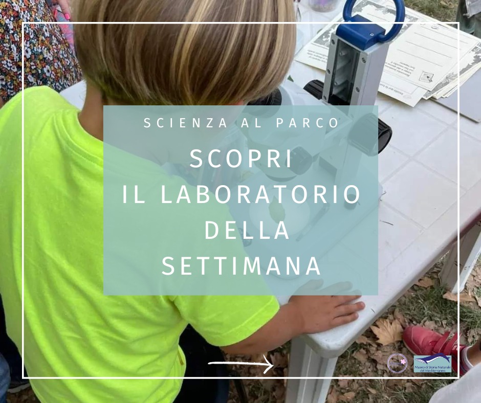Science in the Park, a double date with entertaining science laboratories organized by the Mediterranean Museum