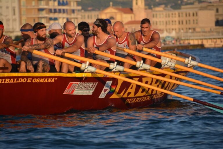 ????????????????????????????????????