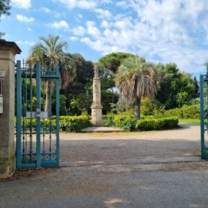 parterre foto miki