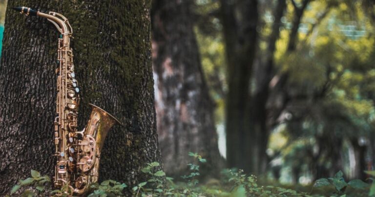 Sax nel bosco - 1